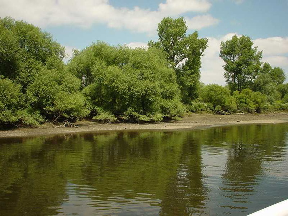DSC00125
