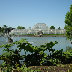 DSC00003