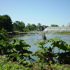 DSC00004