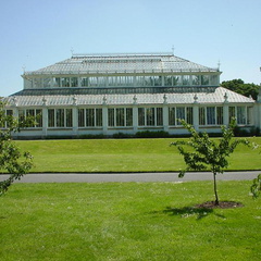 DSC00009