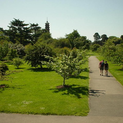 DSC00011