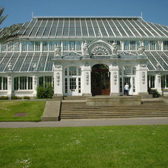 DSC00012