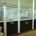 DSC00181