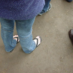 DSC00009