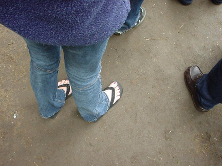 DSC00009