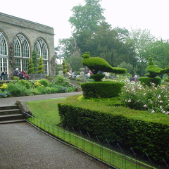 DSC00038