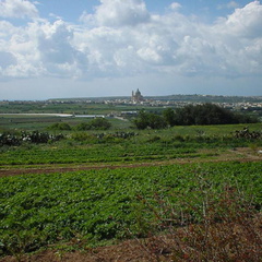 DSC00053