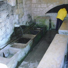DSC00066
