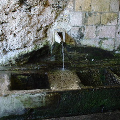 DSC00067