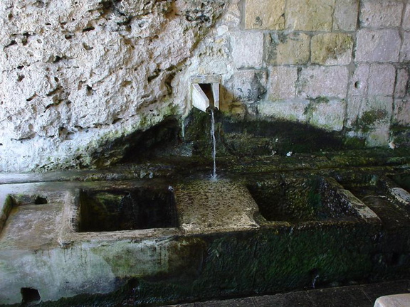 DSC00067