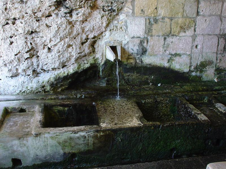 DSC00067