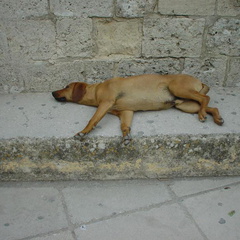 DSC00162
