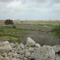 DSC00245