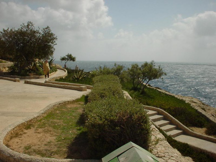 DSC00249