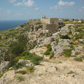 DSC00029