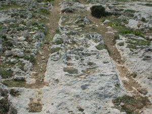 DSC00030