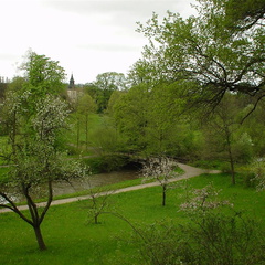 DSC00024