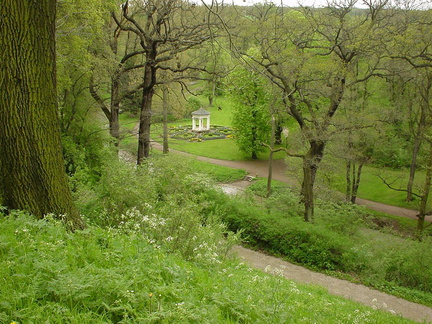 DSC00026