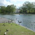 DSC0016