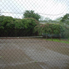DSC00022