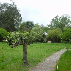 DSC00025