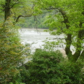 DSC00033