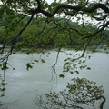 DSC00036