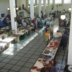 DSC00087