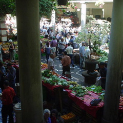 DSC00090