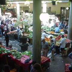 DSC00091