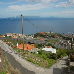 DSC00003