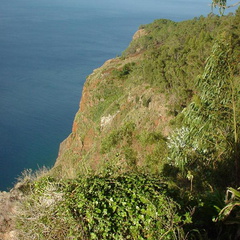 DSC00149