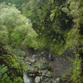 DSC00132