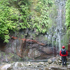 DSC00137