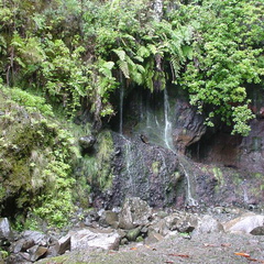 DSC00138