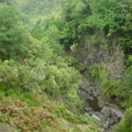 DSC00144