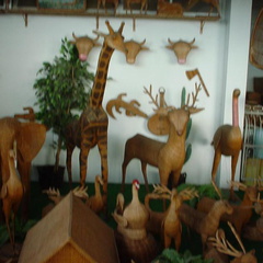 DSC00010