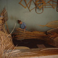 DSC00015