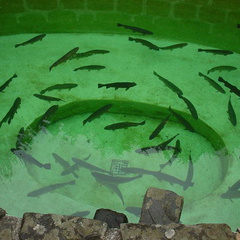 DSC00030