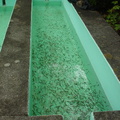DSC00035