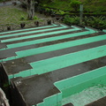 DSC00037