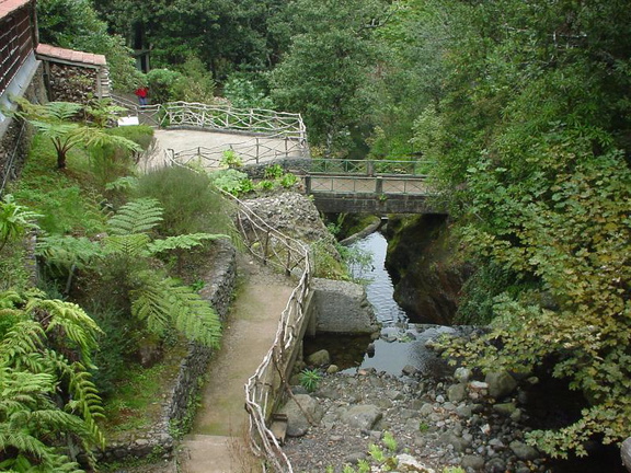 DSC00040