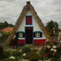 DSC00049