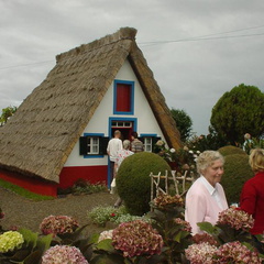 DSC00050