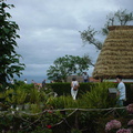 DSC00052