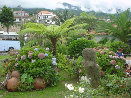 DSC00059