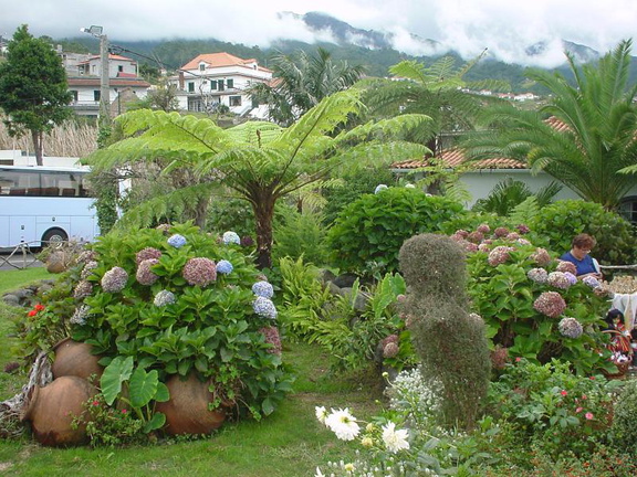 DSC00059