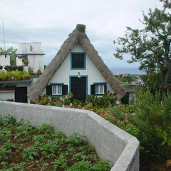 DSC00060