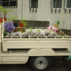 DSC00071