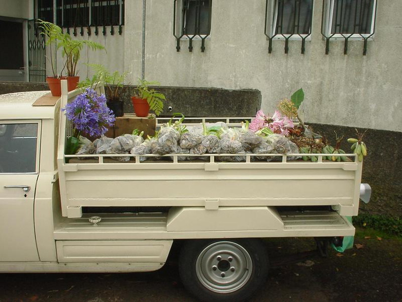 DSC00071
